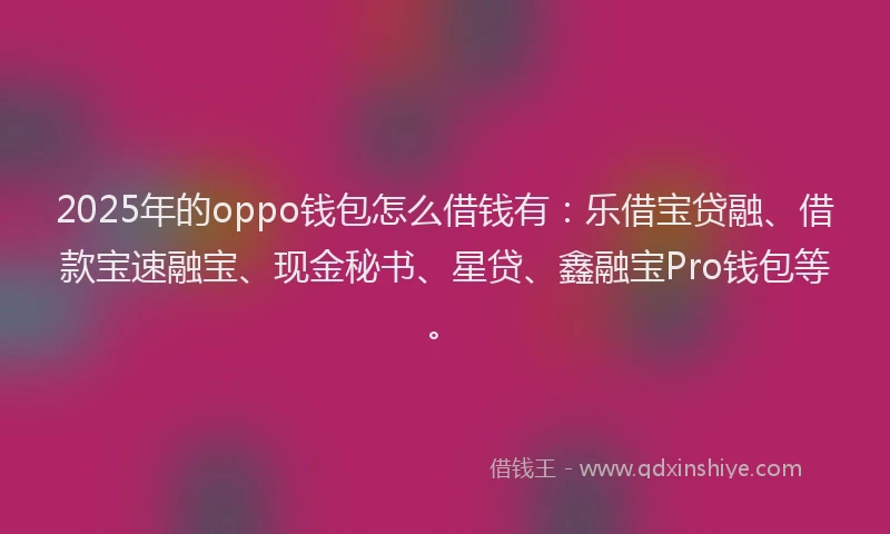 2025年的oppo钱包怎么借钱有：乐借宝贷融、借款宝速融宝、现金秘书、星贷、鑫融宝Pro钱包等。