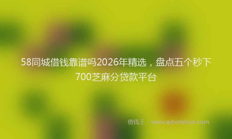 58同城借钱靠谱吗2026年精选，盘点五个秒下700芝麻分贷款平台