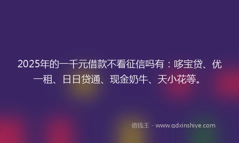 2025年的一千元借款不看征信吗有：哆宝贷、优一租、日日贷通、现金奶牛、天小花等。