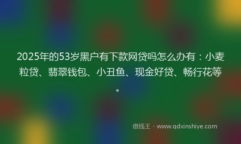 2025年的53岁黑户有下款网贷吗怎么办有:小麦粒贷、翡翠钱包、小丑鱼、现金好贷、畅行花等。