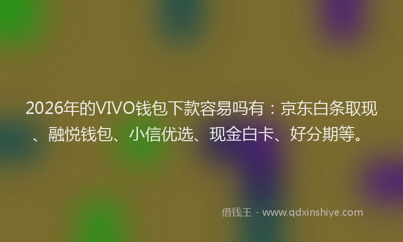 2026年的VIVO钱包下款容易吗有：京东白条取现、融悦钱包、小信优选、现金白卡、好分期等。