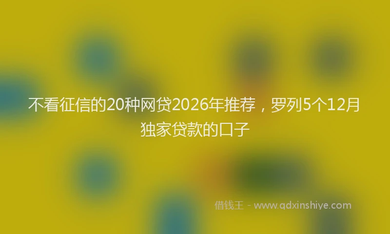 不看征信的20种网贷2026年推荐，罗列5个12月独家贷款的口子