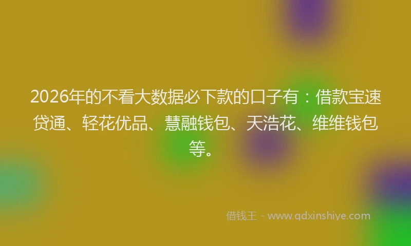 2026年的不看大数据必下款的口子有：借款宝速贷通、轻花优品、慧融钱包、天浩花、维维钱包等。