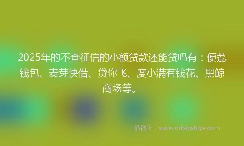 2025年的不查征信的小额贷款还能贷吗有：便荔钱包、麦芽快借、贷你飞、度小满有钱花、黑鲸商场等。