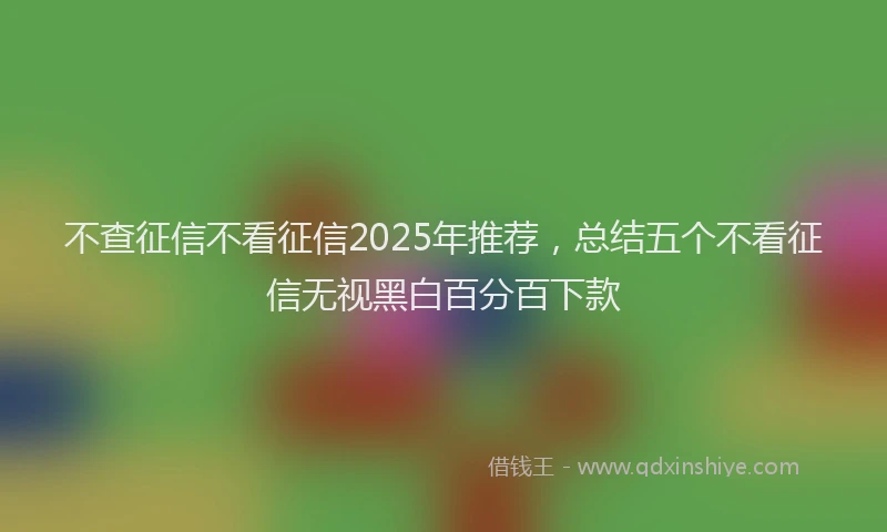 不查征信不看征信2025年推荐，总结五个不看征信无视黑白百分百下款