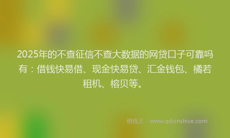 2025年的不查征信不查大数据的网贷口子可靠吗有：借钱快易借、现金快易贷、汇金钱包、橘若租机、榕贝等。