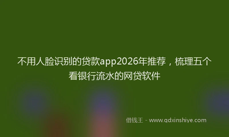 不用人脸识别的贷款app2026年推荐，梳理五个看银行流水的网贷软件