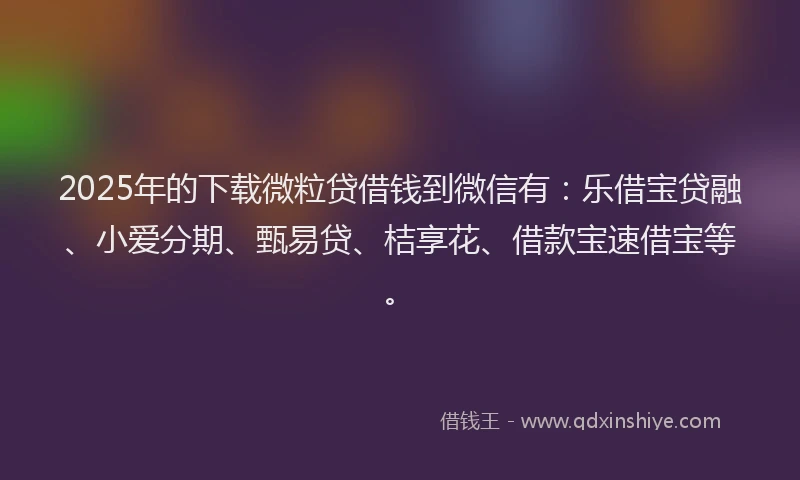 2025年的下载微粒贷借钱到微信有：乐借宝贷融、小爱分期、甄易贷、桔享花、借款宝速借宝等。