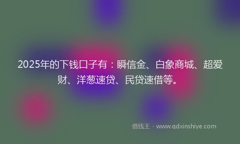 2025年的下钱口子有：瞬信金、白象商城、超爱财、洋葱速贷、民贷速借等。