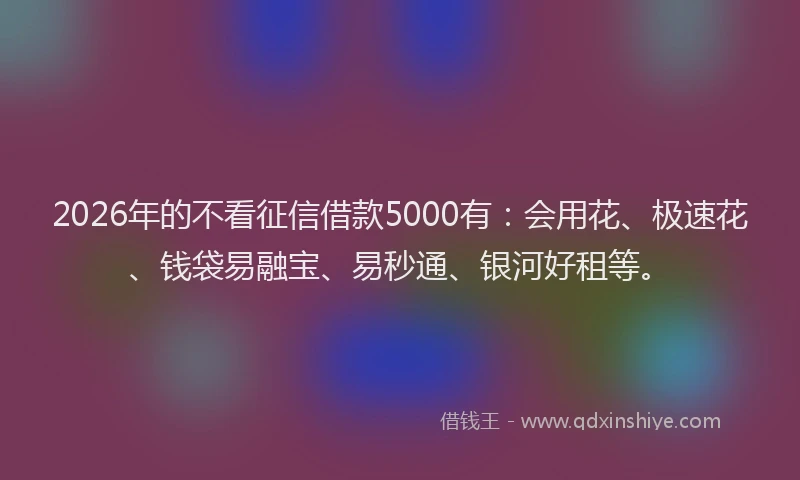 2026年的不看征信借款5000有：会用花、极速花、钱袋易融宝、易秒通、银河好租等。