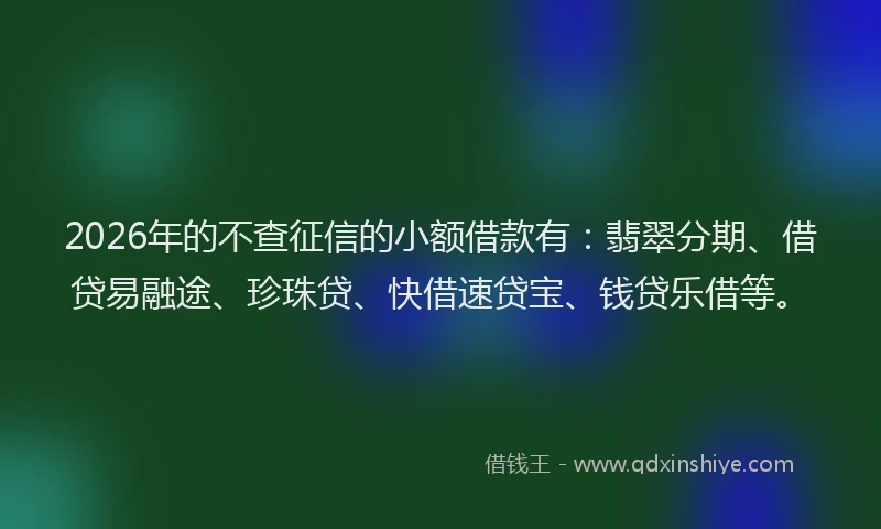 2026年的不查征信的小额借款有：翡翠分期、借贷易融途、珍珠贷、快借速贷宝、钱贷乐借等。