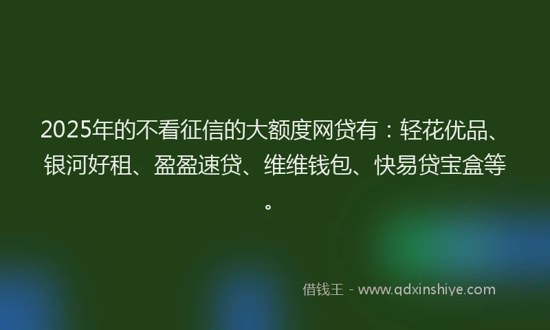 2025年的不看征信的大额度网贷有：轻花优品、银河好租、盈盈速贷、维维钱包、快易贷宝盒等。
