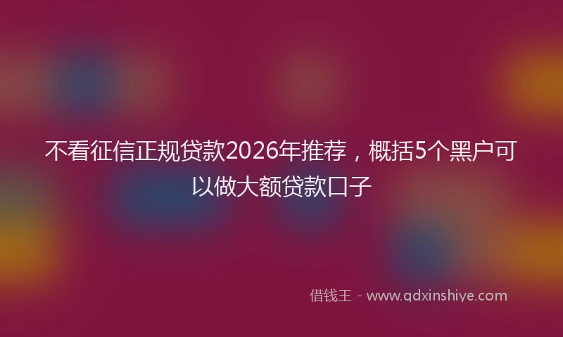 不看征信正规贷款2026年推荐,概括5个黑户可以做大额贷款口子