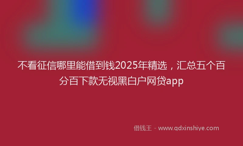 不看征信哪里能借到钱2025年精选，汇总五个百分百下款无视黑白户网贷app
