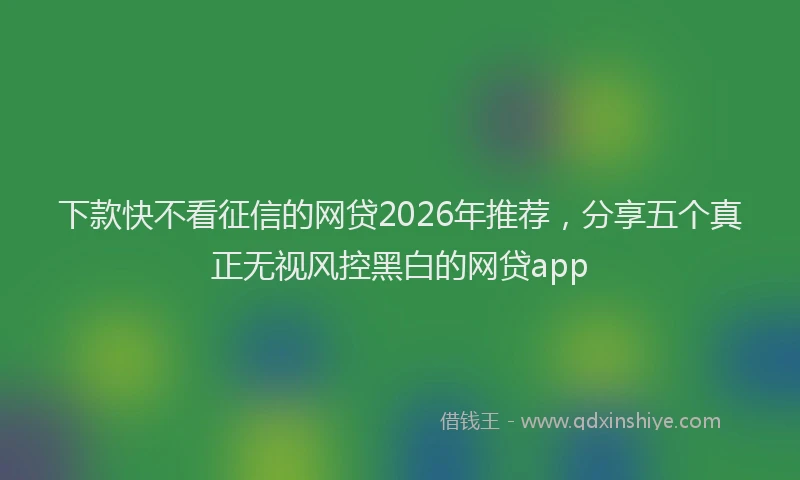 下款快不看征信的网贷2026年推荐，分享五个真正无视风控黑白的网贷app