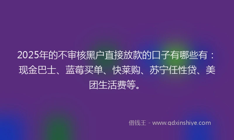 2025年的不审核黑户直接放款的口子有哪些有：现金巴士、蓝莓买单、快莱购、苏宁任性贷、美团生活费等。