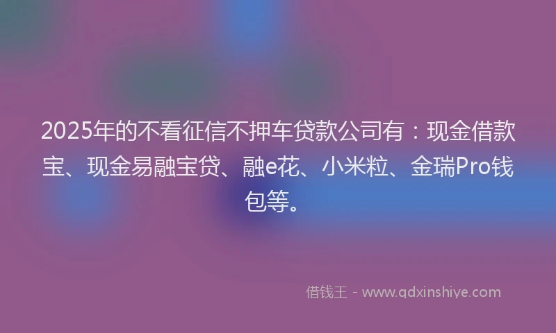 2025年的不看征信不押车贷款公司有：现金借款宝、现金易融宝贷、融e花、小米粒、金瑞Pro钱包等。