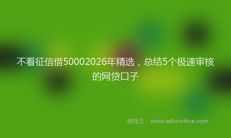 不看征信借50002026年精选,总结5个极速审核的网贷口子
