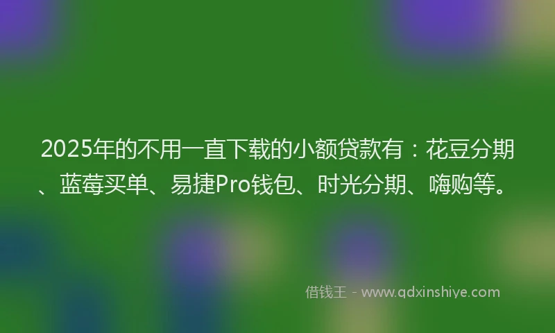 2025年的不用一直下载的小额贷款有：花豆分期、蓝莓买单、易捷Pro钱包、时光分期、嗨购等。