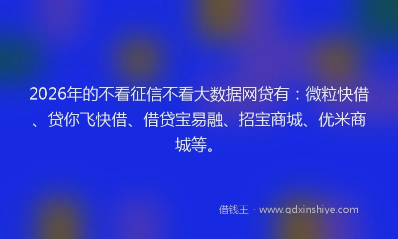 2026年的不看征信不看大数据网贷有：微粒快借、贷你飞快借、借贷宝易融、招宝商城、优米商城等。