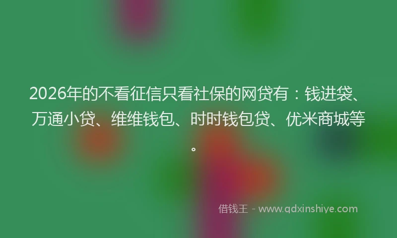 2026年的不看征信只看社保的网贷有：钱进袋、万通小贷、维维钱包、时时钱包贷、优米商城等。