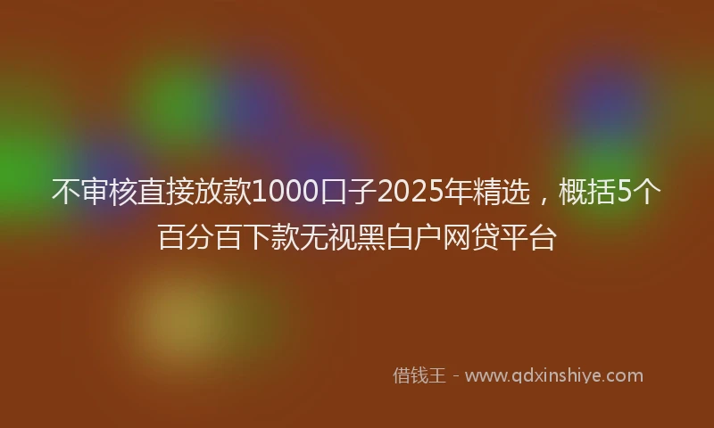不审核直接放款1000口子2025年精选，概括5个百分百下款无视黑白户网贷平台