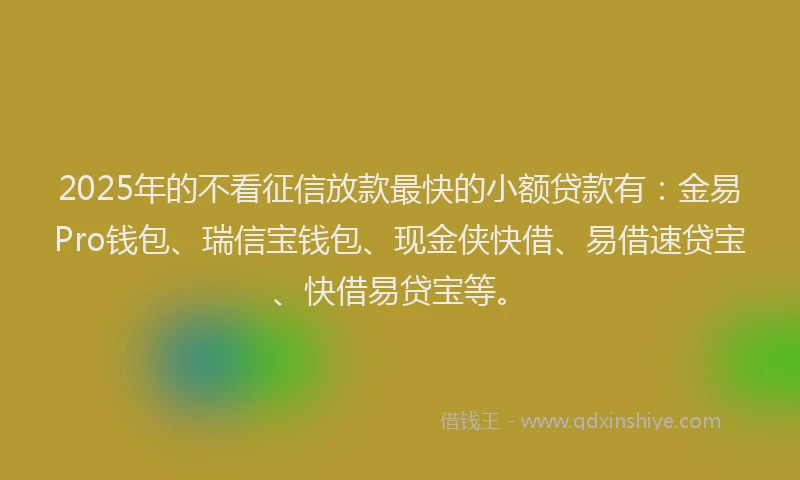 2025年的不看征信放款最快的小额贷款有：金易Pro钱包、瑞信宝钱包、现金侠快借、易借速贷宝、快借易贷宝等。