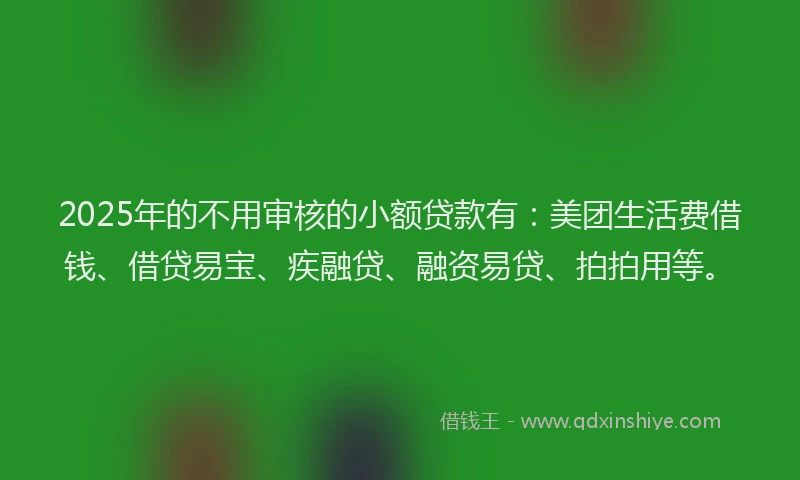 2025年的不用审核的小额贷款有：美团生活费借钱、借贷易宝、疾融贷、融资易贷、拍拍用等。