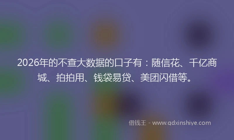 2026年的不查大数据的口子有：随信花、千亿商城、拍拍用、钱袋易贷、美团闪借等。