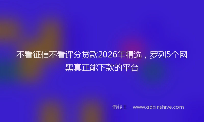 不看征信不看评分贷款2026年精选，罗列5个网黑真正能下款的平台