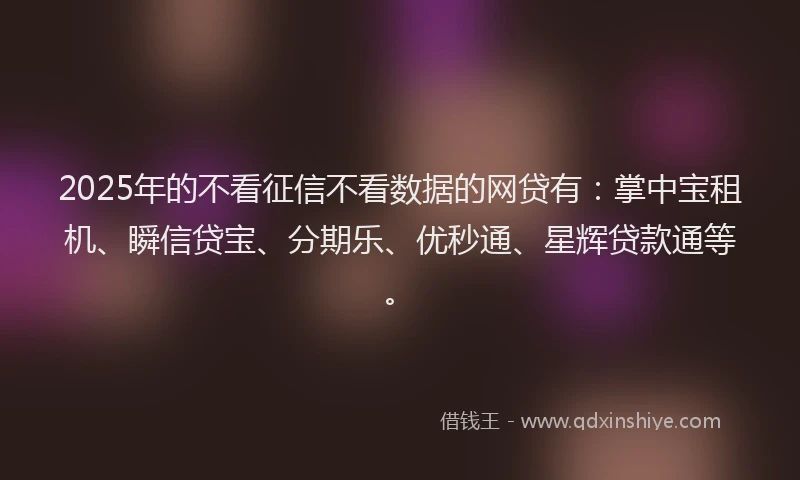 2025年的不看征信不看数据的网贷有:掌中宝租机、瞬信贷宝、分期乐、优秒通、星辉贷款通等。
