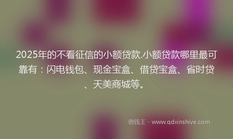 2025年的不看征信的小额贷款.小额贷款哪里最可靠有：闪电钱包、现金宝盒、借贷宝盒、省时贷、天美商城等。