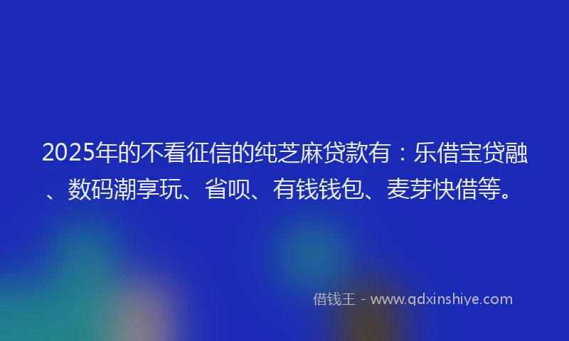2025年的不看征信的纯芝麻贷款有：乐借宝贷融、数码潮享玩、省呗、有钱钱包、麦芽快借等。