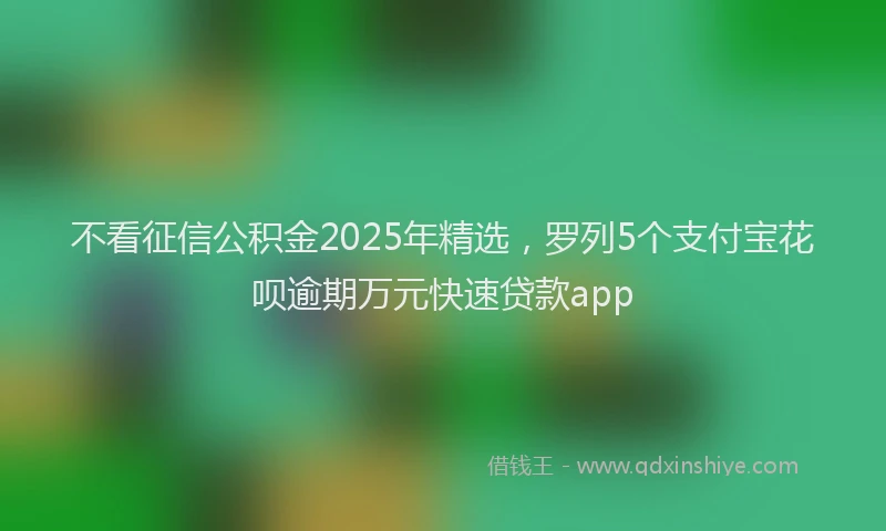 不看征信公积金2025年精选，罗列5个支付宝花呗逾期万元快速贷款app
