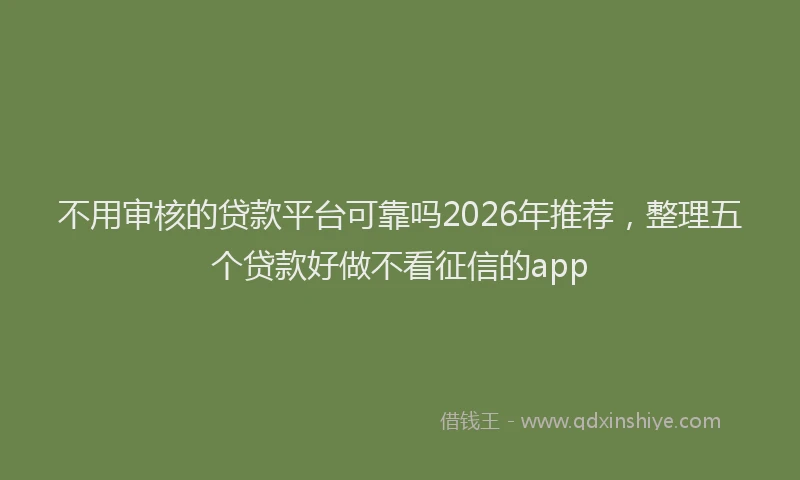 不用审核的贷款平台可靠吗2026年推荐，整理五个贷款好做不看征信的app