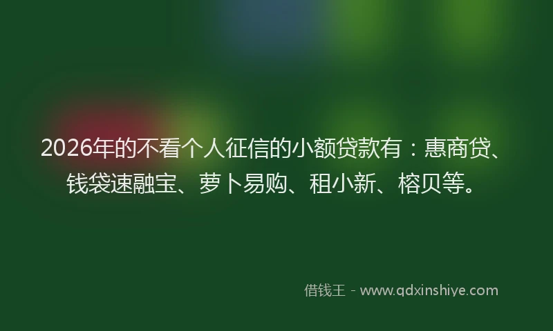 2026年的不看个人征信的小额贷款有：惠商贷、钱袋速融宝、萝卜易购、租小新、榕贝等。
