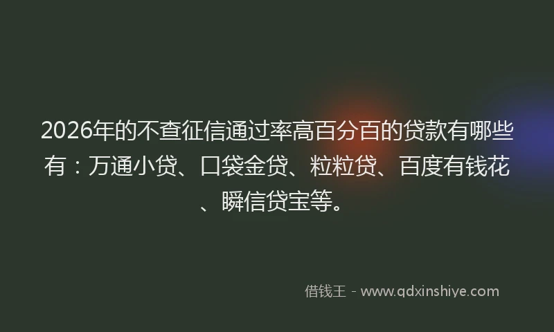 2026年的不查征信通过率高百分百的贷款有哪些有:万通小贷、口袋金贷、粒粒贷、百度有钱花、瞬信贷宝等。
