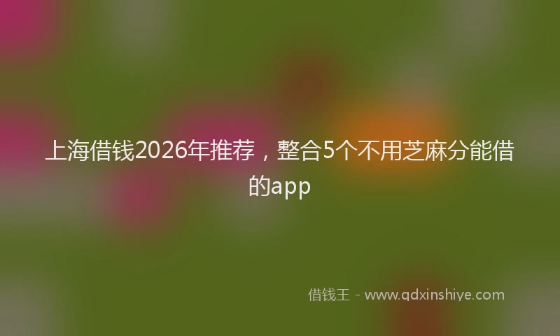 上海借钱2026年推荐，整合5个不用芝麻分能借的app