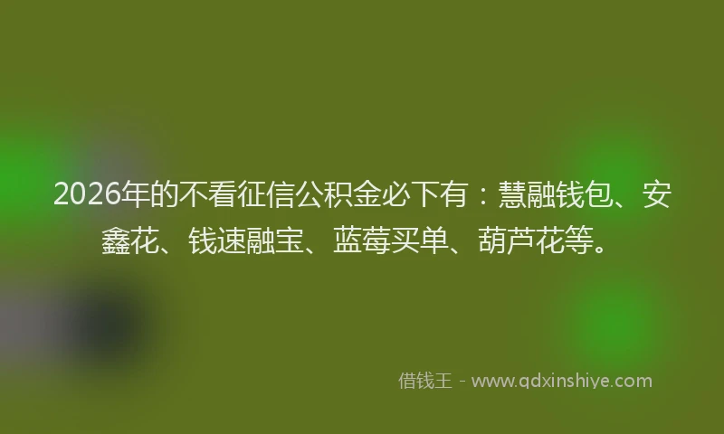2026年的不看征信公积金必下有：慧融钱包、安鑫花、钱速融宝、蓝莓买单、葫芦花等。