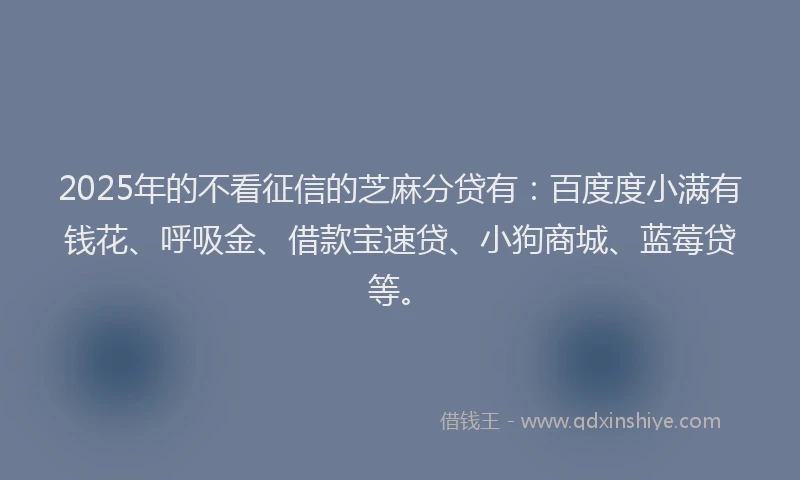 2025年的不看征信的芝麻分贷有：百度度小满有钱花、呼吸金、借款宝速贷、小狗商城、蓝莓贷等。