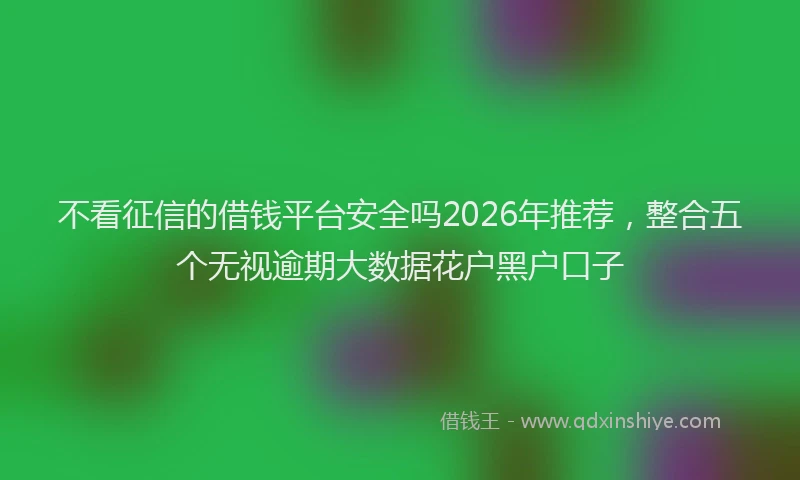不看征信的借钱平台安全吗2026年推荐，整合五个无视逾期大数据花户黑户口子