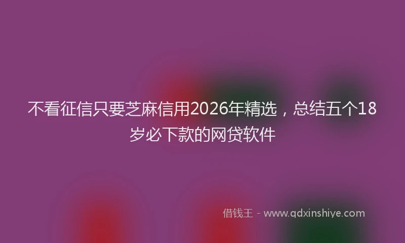 不看征信只要芝麻信用2026年精选，总结五个18岁必下款的网贷软件