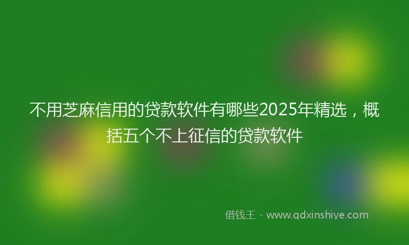 不用芝麻信用的贷款软件有哪些2025年精选，概括五个不上征信的贷款软件