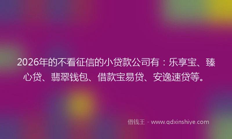 2026年的不看征信的小贷款公司有：乐享宝、臻心贷、翡翠钱包、借款宝易贷、安逸速贷等。