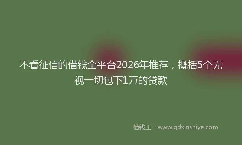 不看征信的借钱全平台2026年推荐，概括5个无视一切包下1万的贷款