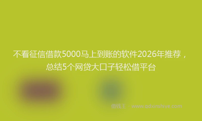 不看征信借款5000马上到账的软件2026年推荐,总结5个网贷大口子轻松借平台