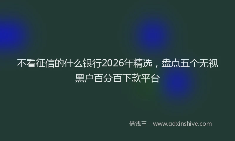 不看征信的什么银行2026年精选，盘点五个无视黑户百分百下款平台