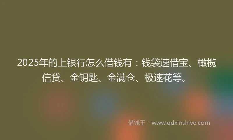 2025年的上银行怎么借钱有：钱袋速借宝、橄榄信贷、金钥匙、金满仓、极速花等。