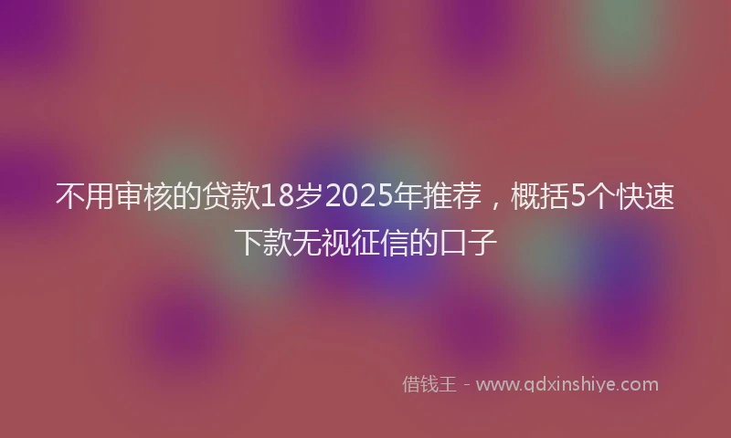 不用审核的贷款18岁2025年推荐，概括5个快速下款无视征信的口子