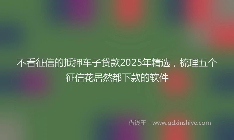 不看征信的抵押车子贷款2025年精选，梳理五个征信花居然都下款的软件